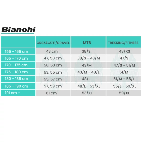 Kép 3/3 - BIANCHI ZOLDER PRO GRX 610 1x12sp kerékpár (2026)