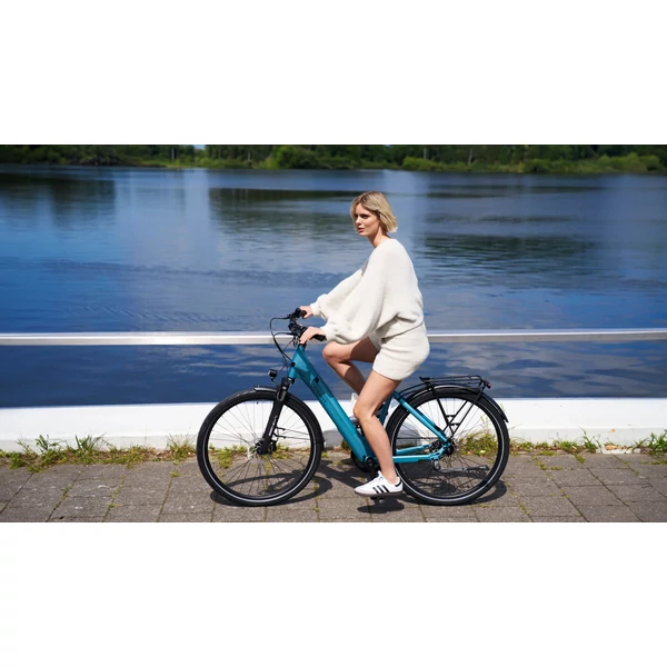 Kép 12/12 - TENWAYS CGO800S kerékpár