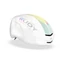 RUDY PROJECT NYTRON PRO White Iridescent S-M sisak