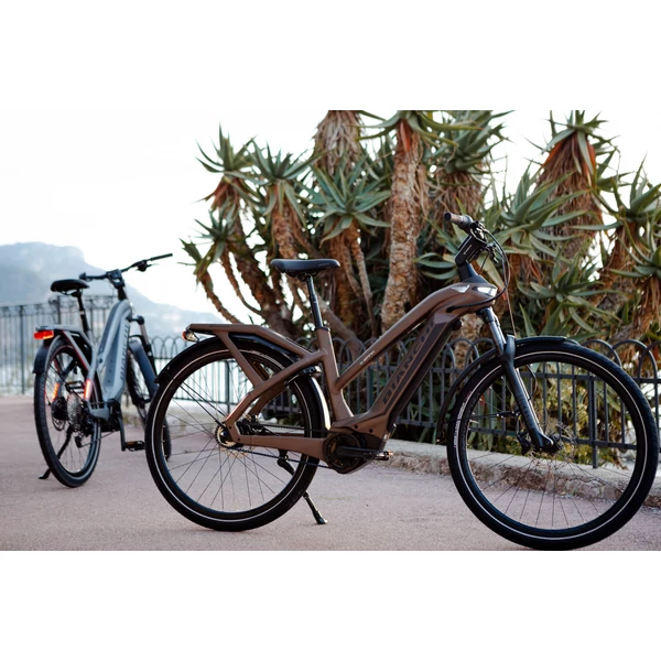 Kép 10/10 - BIANCHI 25 E-OMNIA T LADY XT 12sp Bosch 625Wh Fekete L női kerékpár